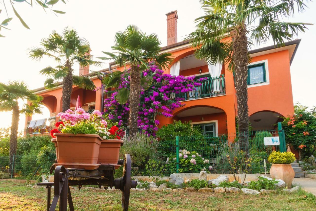 Apartments Mirjana Novigrad  Exterior photo